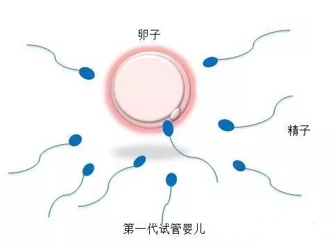温馨医疗环境